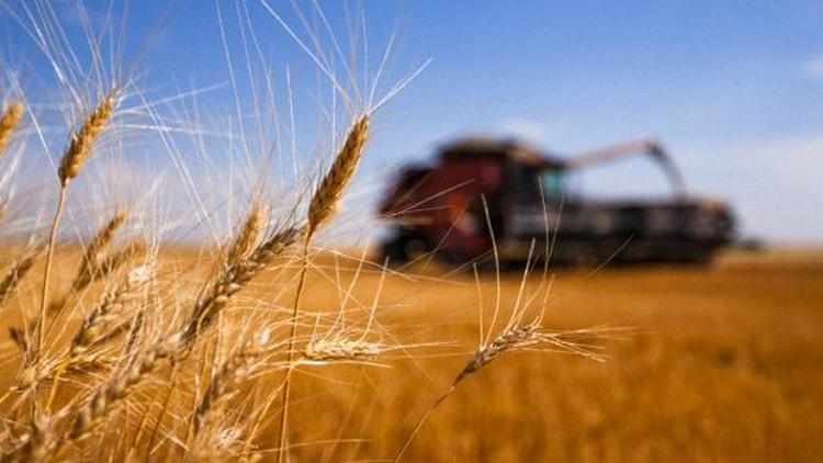Buğday ithalatı uyarısı