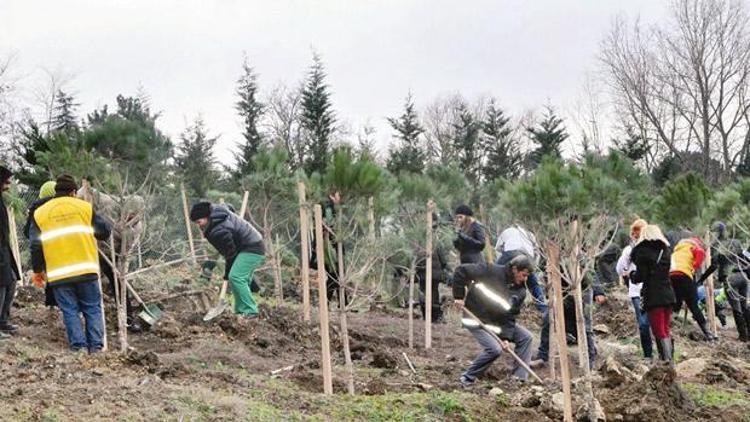 Mahalle şenlikle ağaç dikti