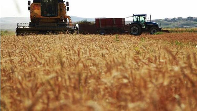 Buğday ve arpa yüz güldürdü