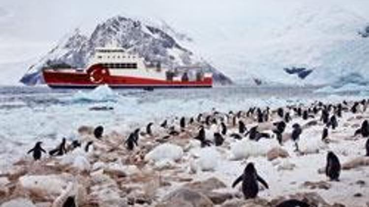 Türkiye Antarktika’da üs kuruyor, yer penguenler adası