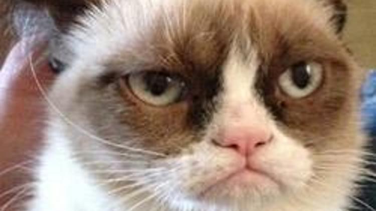 Grumpy Cat film yıldızı oluyor