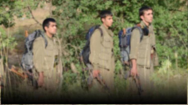 Almanyadan flaş PKK kararı