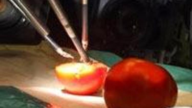 Da Vinci robotuna domatesli tanıtım