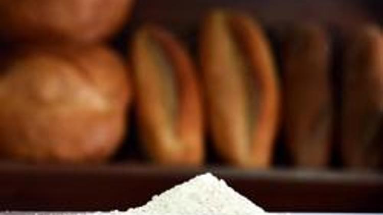 Protein ihtiyacının yüzde 25 artık ekmekten karşılanacak