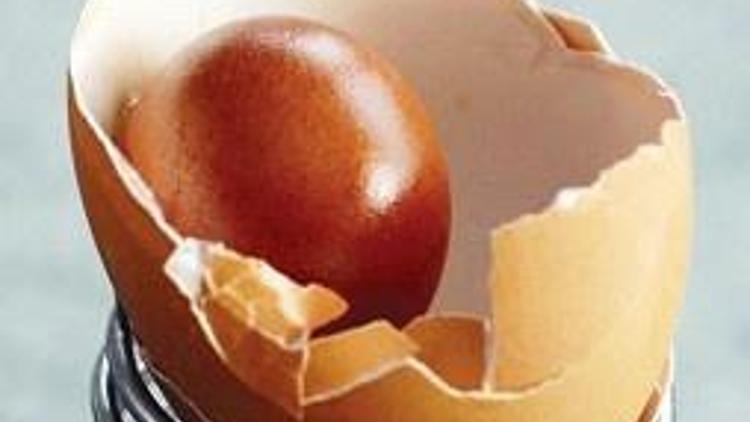 Yumurta içinden yumurta çıktı