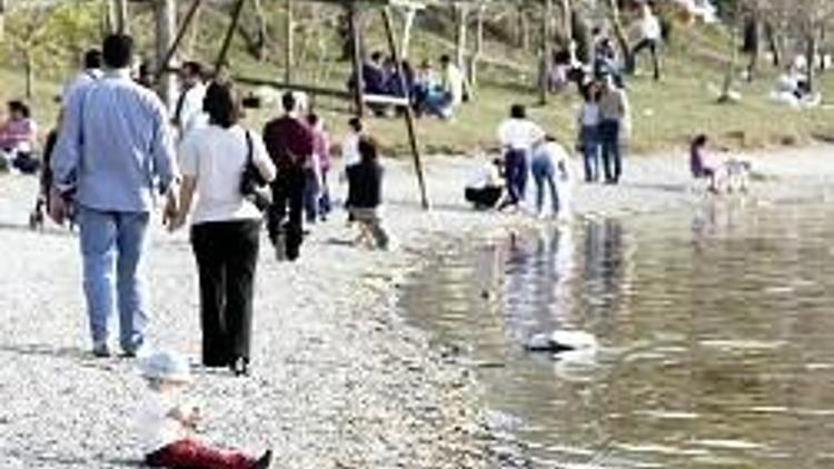 Orman için kimsenin iştahı kabarmasın