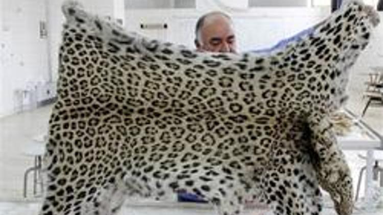 Diyarbakırda öldürülen leoparın içi doldurulacak