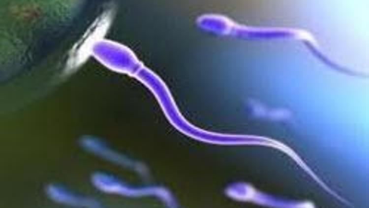 Sperm vericiliğinde radikal karar