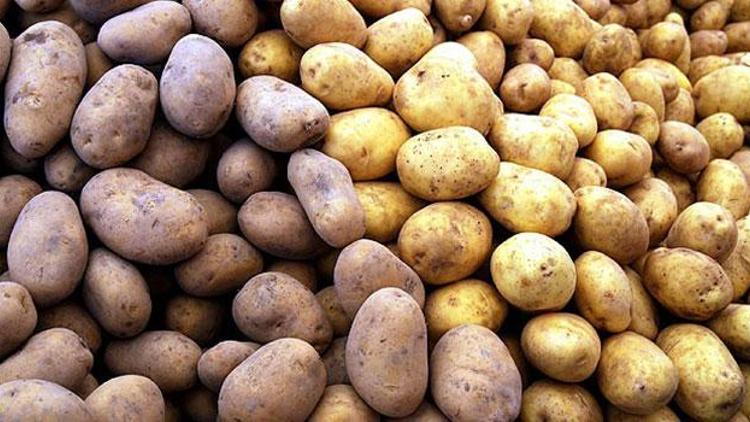 Patates 5 lira oldu, İrandan ithal istendi