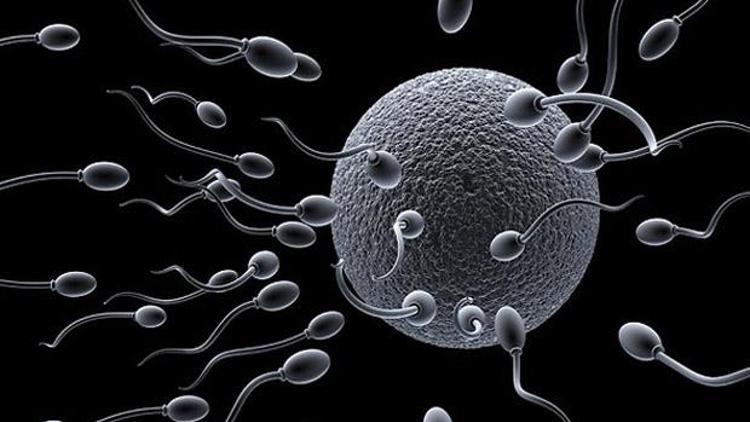 ‘Milyonlarca sperm, durun’