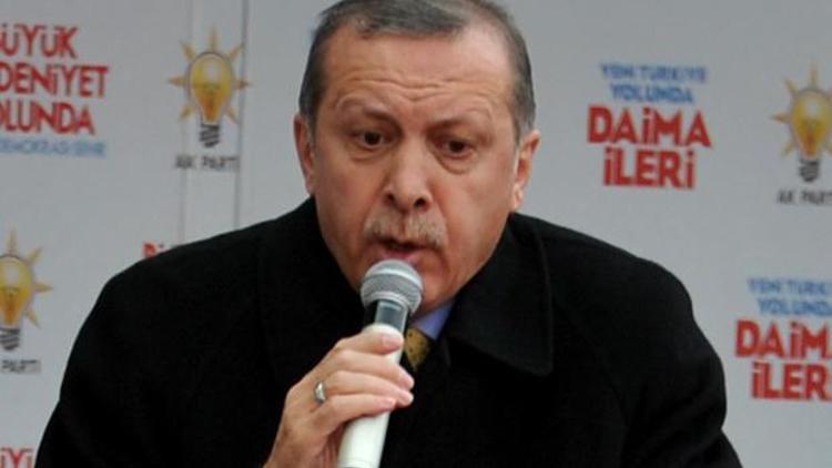 Başbakan Erdoğan Mardinde konuştu