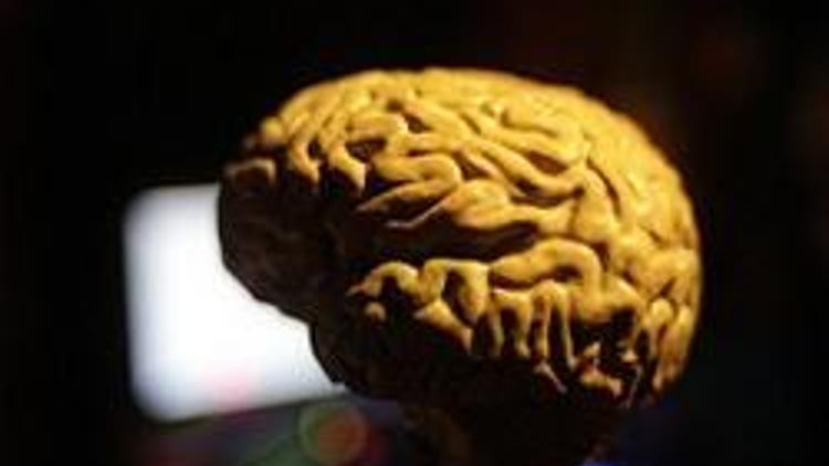 İnsan beyni 45inde çöküş dönemine giriyor