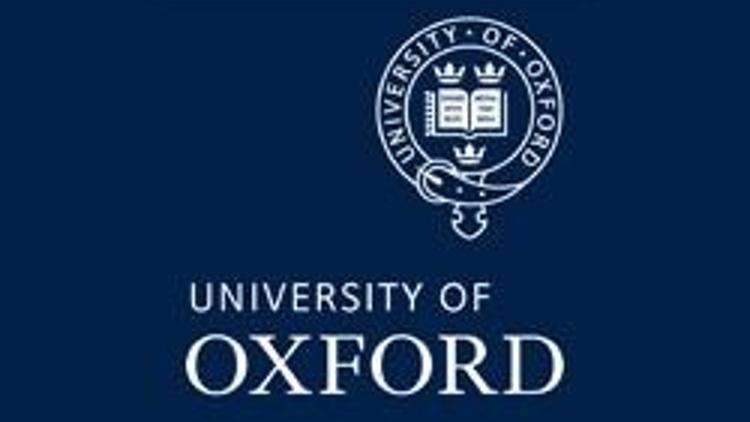 Oxfordlu akademisyenlerden Türkiye mesajı: Kaygılıyız