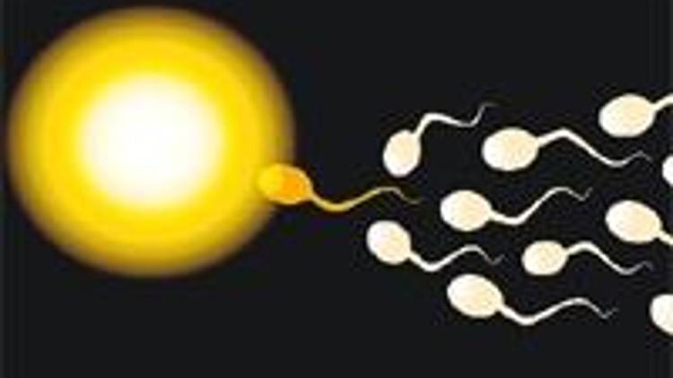 Yapay sperm tartışması