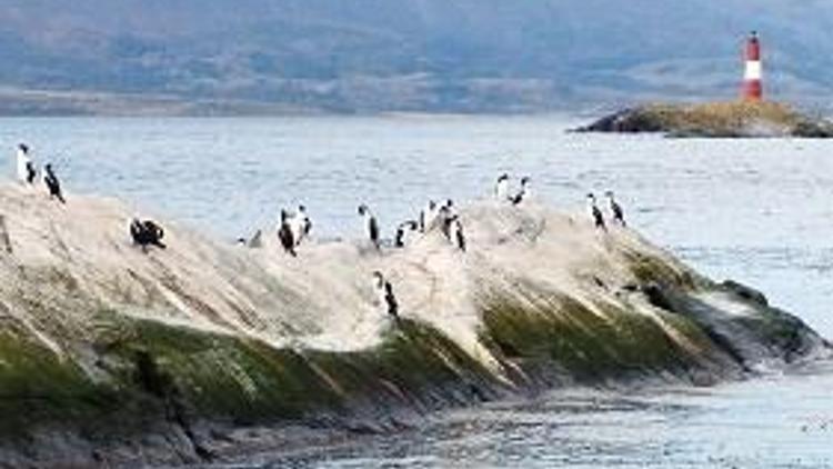 Şili denizleri için çevreci maceraperest aranıyor