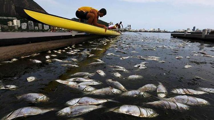 Kürekçilere 21 ton ölü balık eşlik etti
