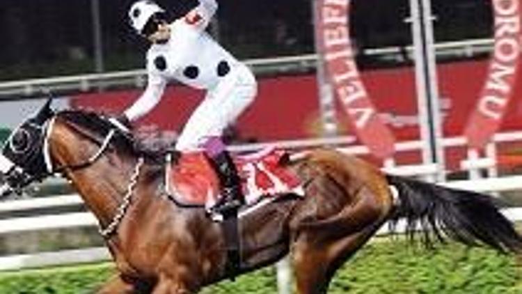 Gazi doping yaptı, at yarışına bir günde 11.4 milyon lira aktı