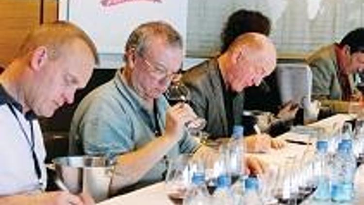Uzmanlar Türk şaraplarına ‘geçer’ not verdi, ‘turizm’ uyarısı geldi