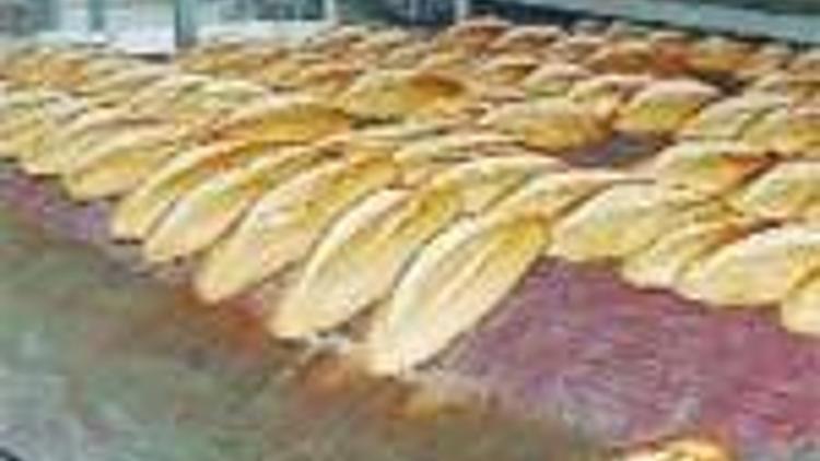 Halk Ekmek ISO 22000 alıyor