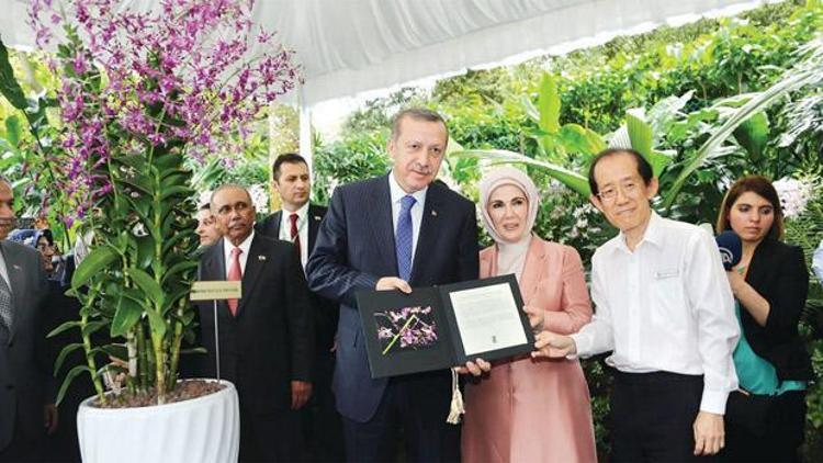 Orkideye isim: Dendrobium Tayyip-Erdoğan