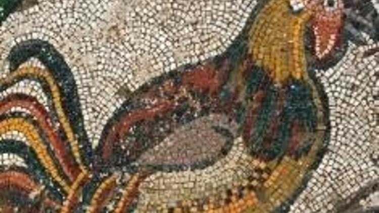 Kahramanmaraş mozaikleri dünya literatürüne girmeye hazırlanıyor
