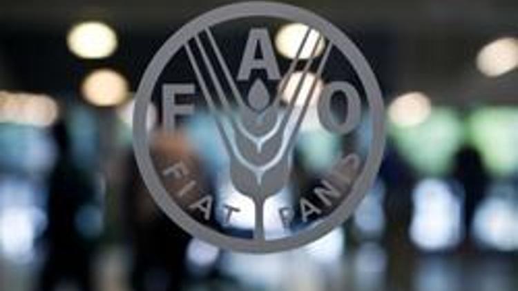 Türkiye FAO Konseyi üyeliğine seçildi