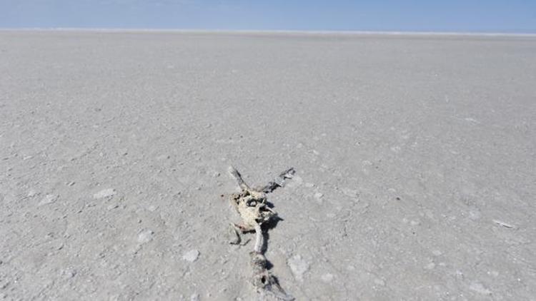 Tuz Gölü yok oluyor