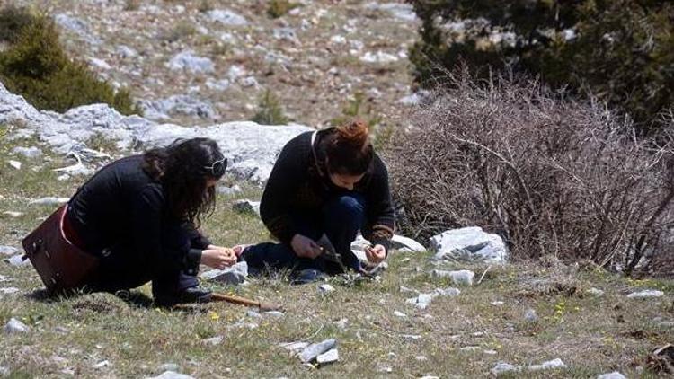 Biyoloji öğrencilerine arazide ders