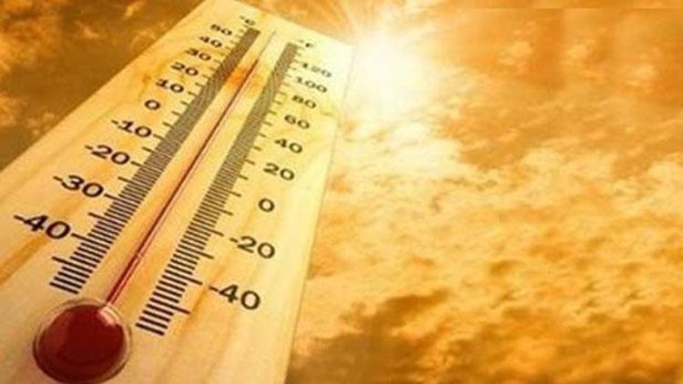 Almanyada sıcaklarından dolayı uzmanlar uyardı