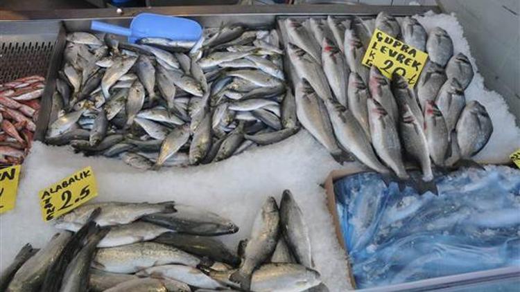 Soğuk hava balık satışlarını olumsuz etkiledi
