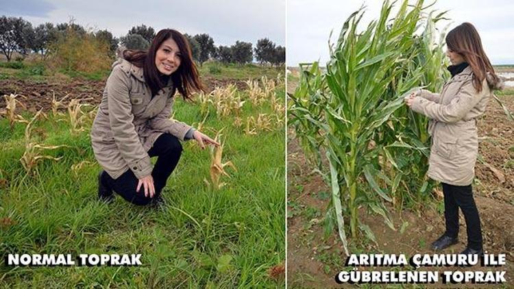 İki resim arasındaki farkı bulun