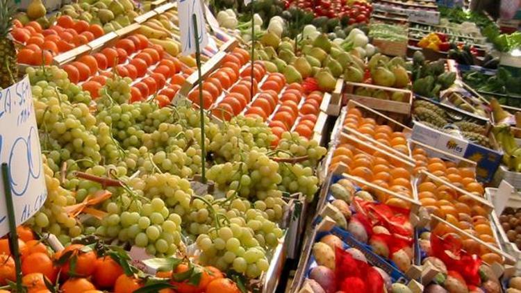 Antalyada 19 tarım firması ihracat için kümelendi