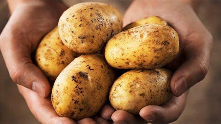 Zeybekci: Patates fiyatları düşecek