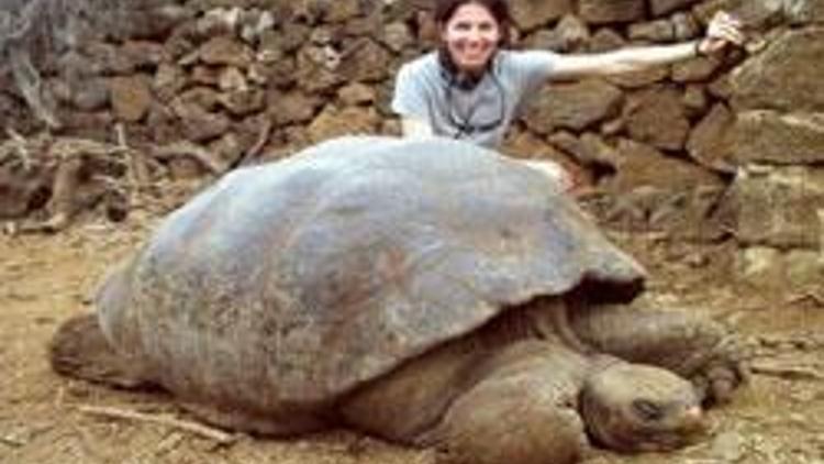 Son Pinta Adası kaplumbağası 100 yaşında öldü