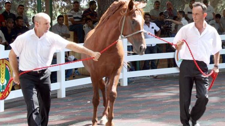 Fiyatına inanamayacaksınız