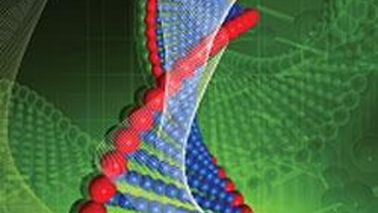 Kanserin yolu, DNA’yla kesilecek