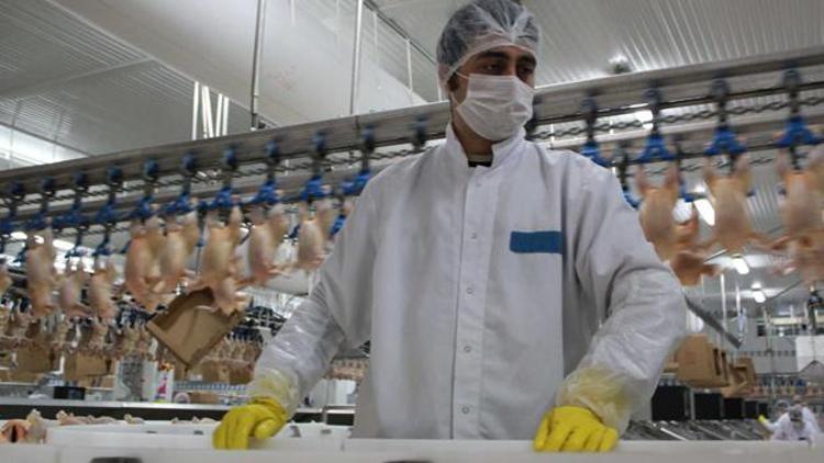 Tavuk eti üretiminde gaza basıldı