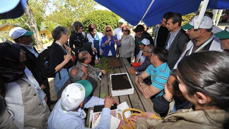 Altın bilezik ‘bahçıvanlık’