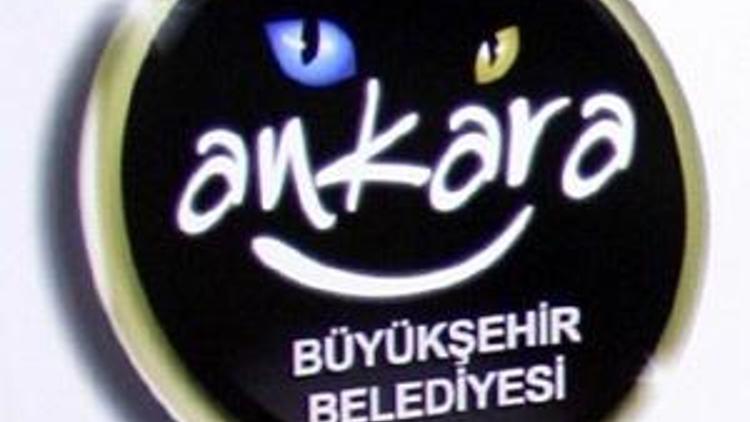 Ankaranın yeni logosu gülen Ankara kedisi