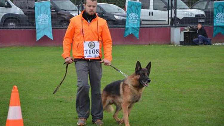 Alman Çoban Köpeği Irk Standartları Yarışması