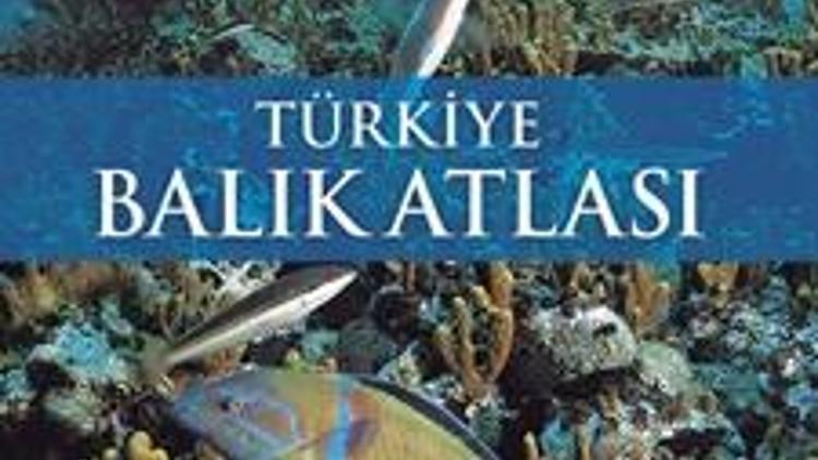 Herkese Türkiye Balık Atlası