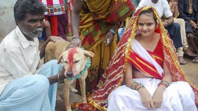 18 yaşındaki Hintli kız kötü ruhları kovmak için sokak köpeğiyle evlendi