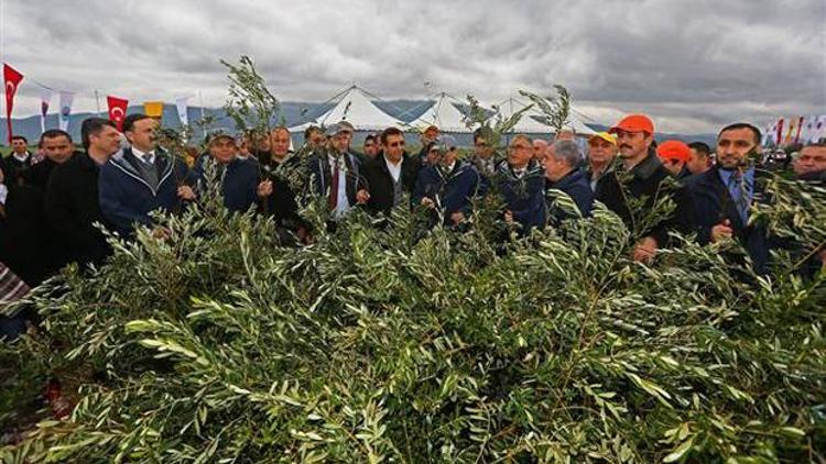 Koloğlu: Doğalgaz lobisinin işi