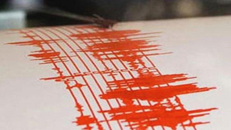 Pro. Dr. Gülen: Depremin artçıları olur