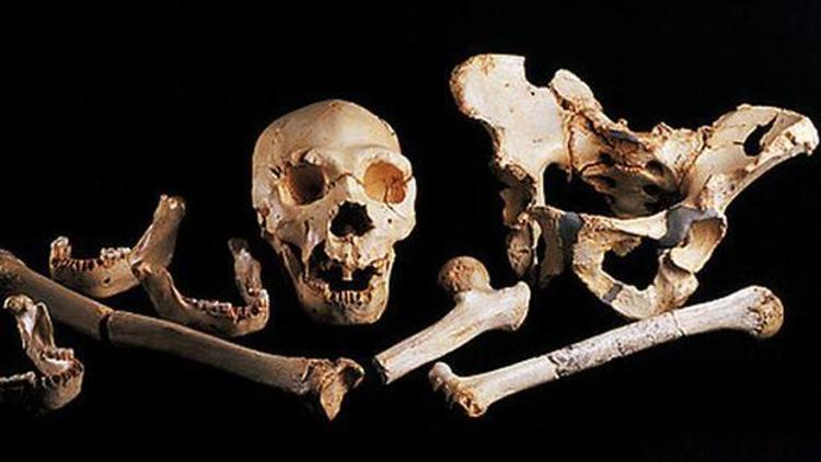 İnsanoğlunun 400 bin yıllık DNAsı bulundu