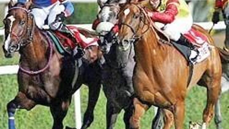 Atlar ‘Enternasyonal’de yarıştı, iki günde 15.5 milyon lira döndü
