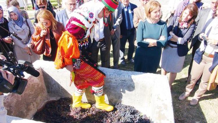 Bağ bozumunda ‘ayaklı’ pekmez