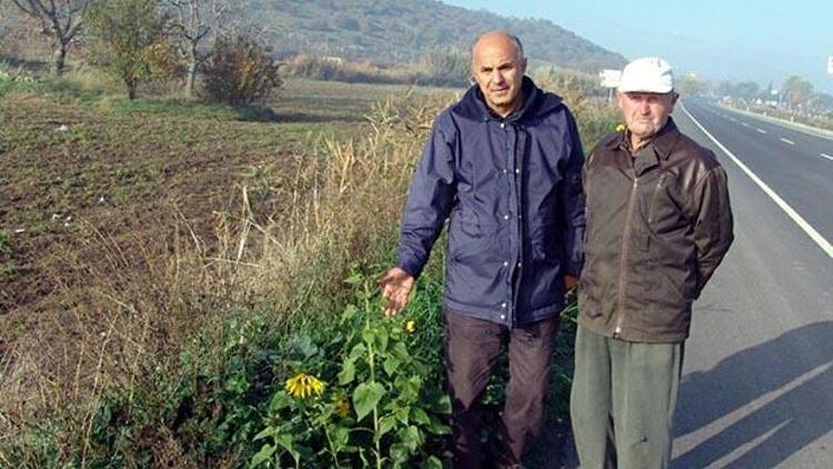 Prof. Dr. Çetinden korkutan açıklama