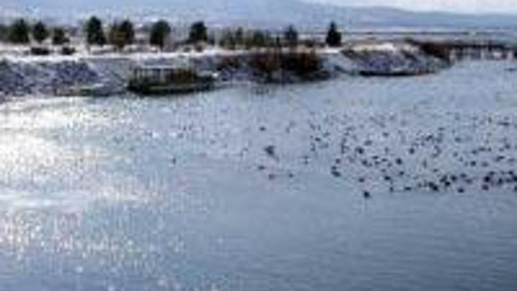 Beyşehir Gölünde kuş sayısı artıyor