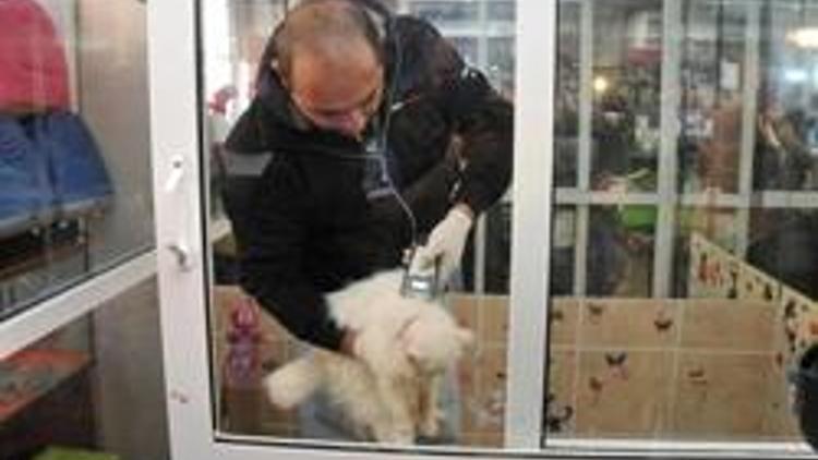 Kadıköy’de pet-shoplarda yasak başladı